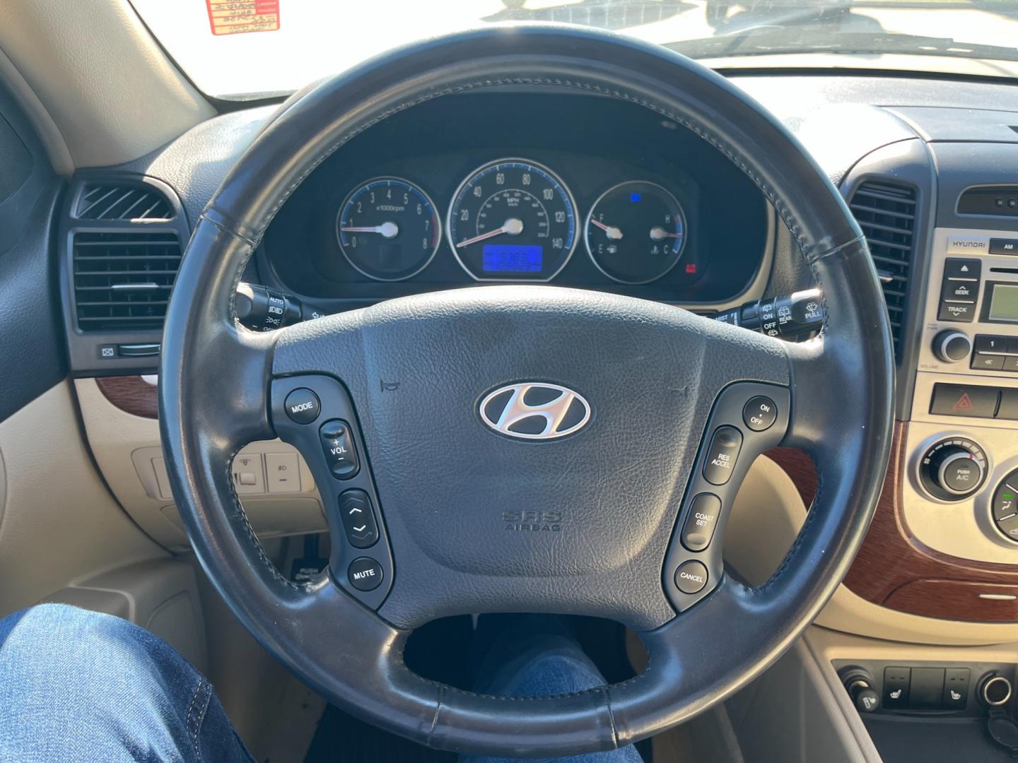 2007 blue /TAN Hyundai Santa Fe Limited (5NMSH13E87H) with an 3.3L V6 DOHC 24V engine, 5-Speed Automatic Overdrive transmission, located at 14700 Tomball Parkway 249, Houston, TX, 77086, (281) 444-2200, 29.928619, -95.504074 - Photo#17