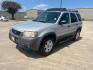 2004 silver /black Ford Escape XLT 2WD (1FMCU03144K) with an 3.0L V6 DOHC 24V engine, 4-Speed Automatic Overdrive transmission, located at 14700 Tomball Parkway 249, Houston, TX, 77086, (281) 444-2200, 29.928619, -95.504074 - Photo#2