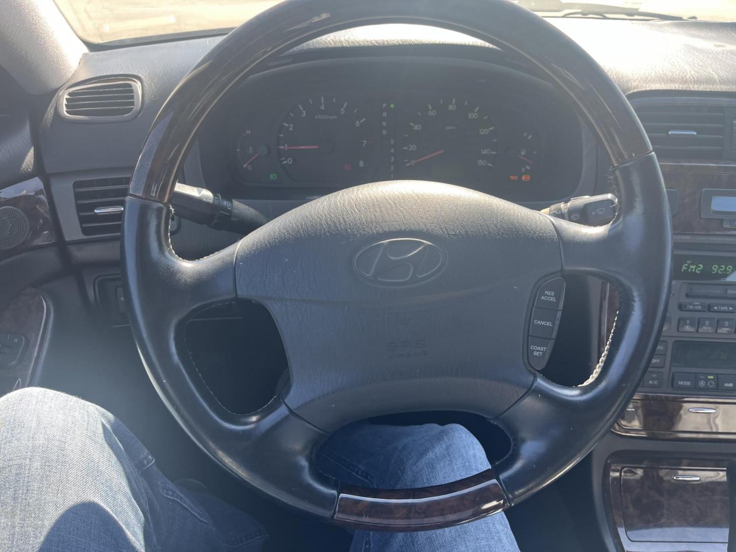 2002 green /TAN Hyundai XG350 Base (KMHFU45E52A) with an 3.5L V6 DOHC 24V engine, 5-Speed Automatic Overdrive transmission, located at 14700 Tomball Parkway 249, Houston, TX, 77086, (281) 444-2200, 29.928619, -95.504074 - Photo#13